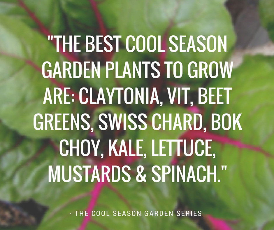 Cool Season Garden image