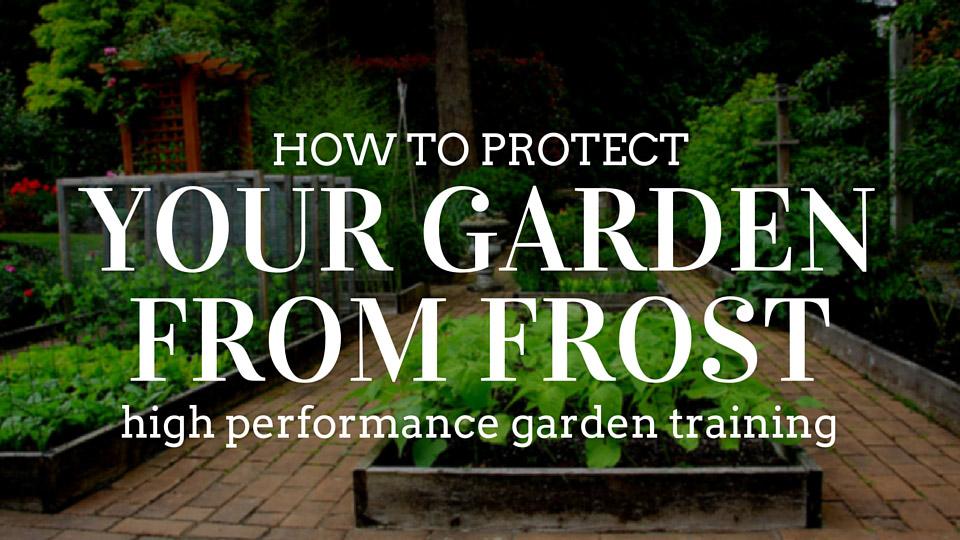 Protect Your Garden From Frost image