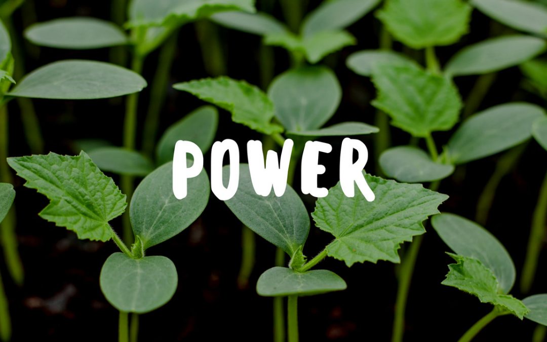 Garden Gift Power image