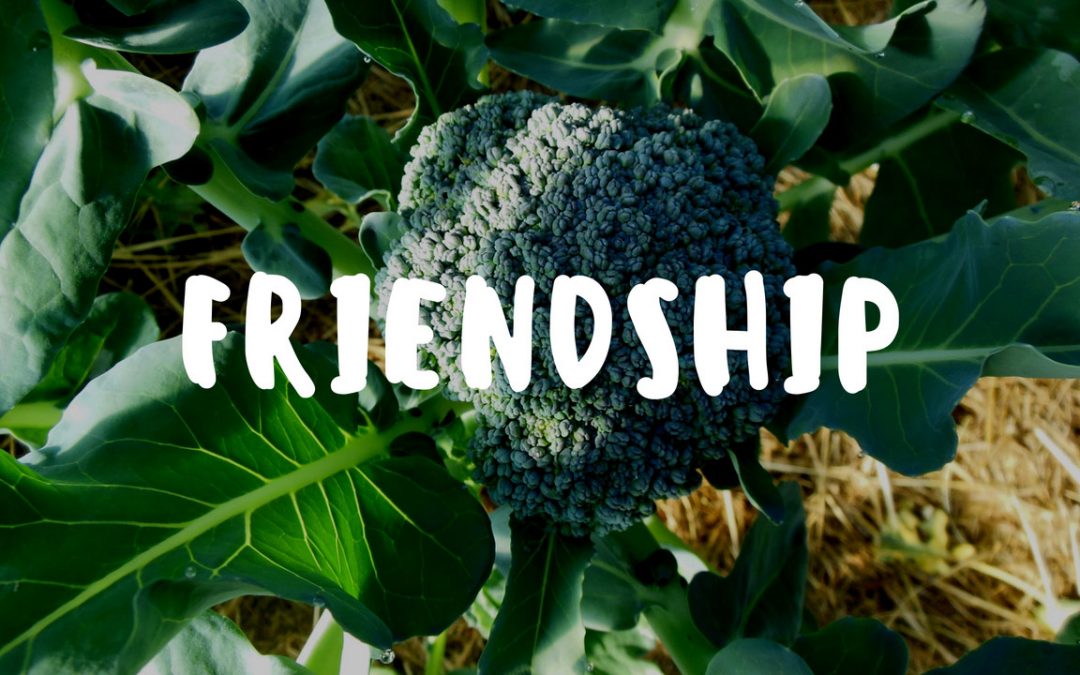 Garden Gift - Friendship image
