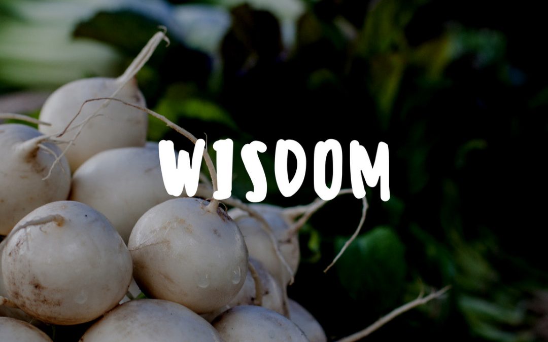 Learning Wisdom in the Organic Garden – Garden Gift 13