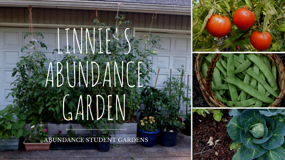 Linnie’s First Year in the Abundance Garden Course