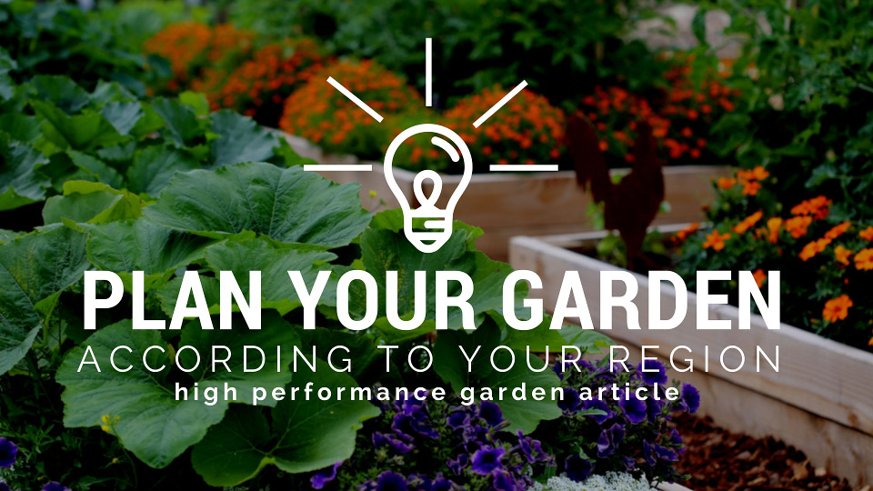 How to Plan Your Garden According to Your Region