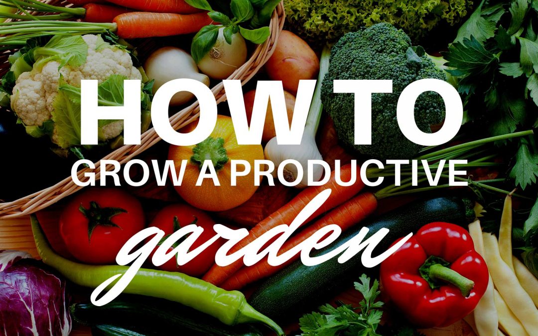 How to Grow a Productive Garden image