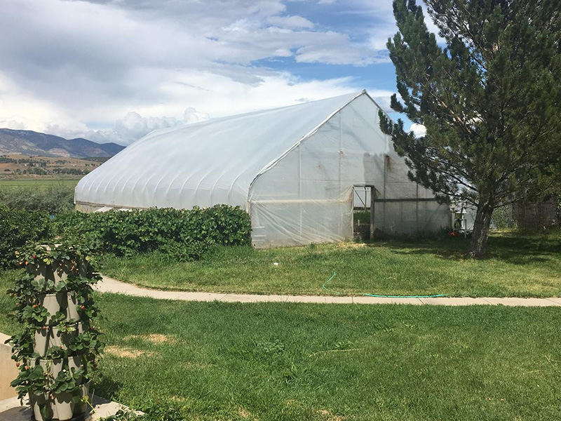 Picture of a greenhouse from outside