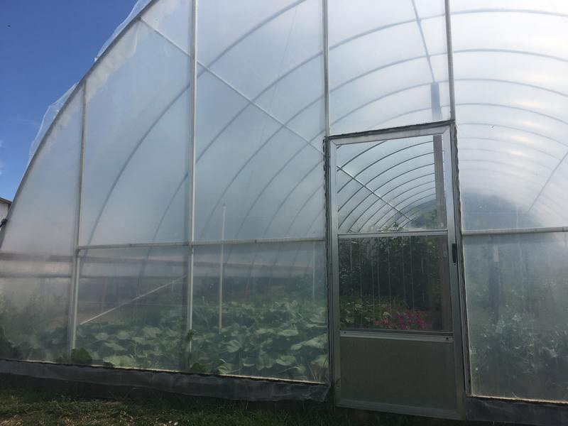 Picture of greenhouse entrance