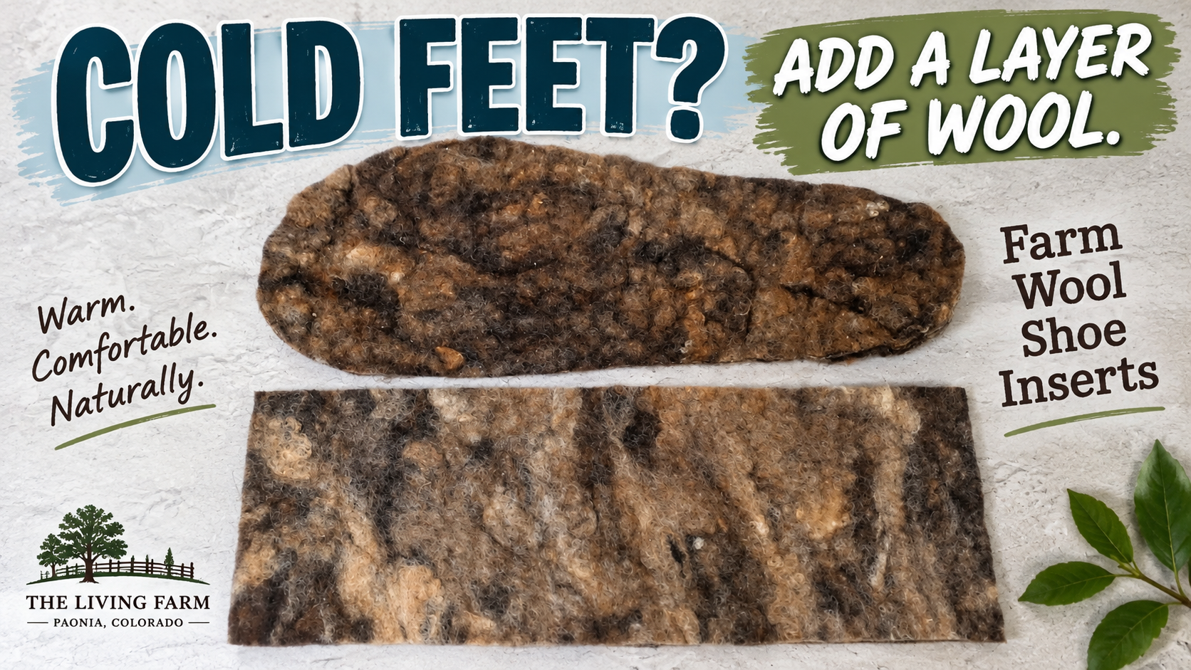 Wool Shoe Inserts