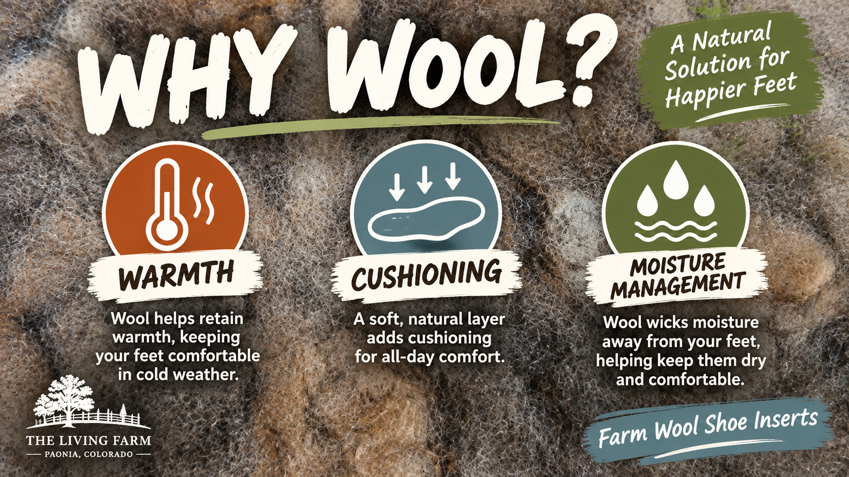Wool Shoe Inserts - Image 4
