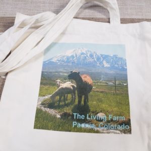 shopping bag lambs