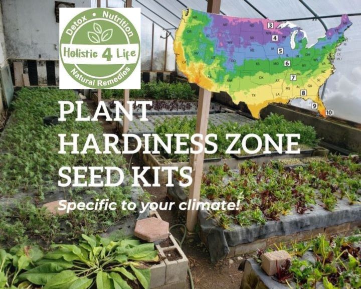 Holistic 4 Life – Zone Seed Kits