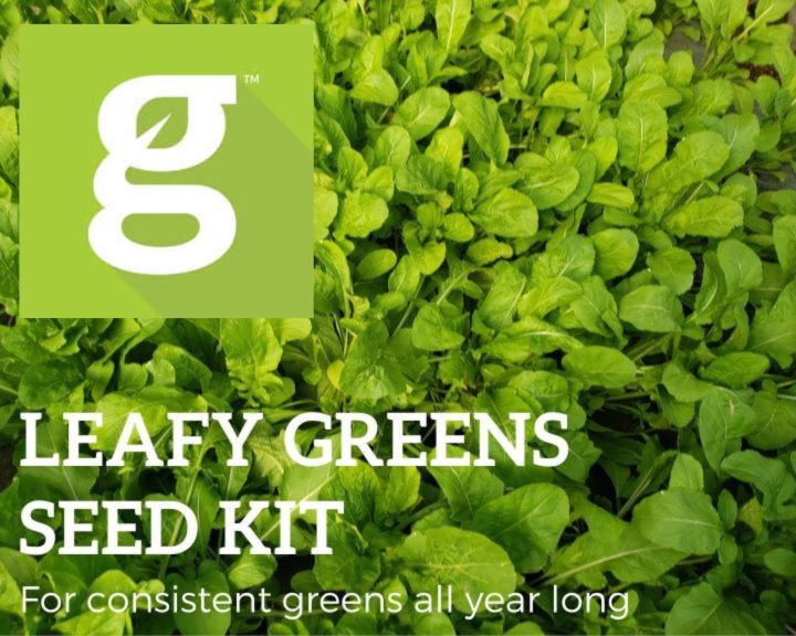 The Grow Network Leafy Greens Seed Kit