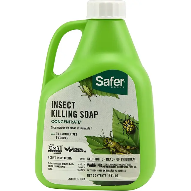 Safer Soap