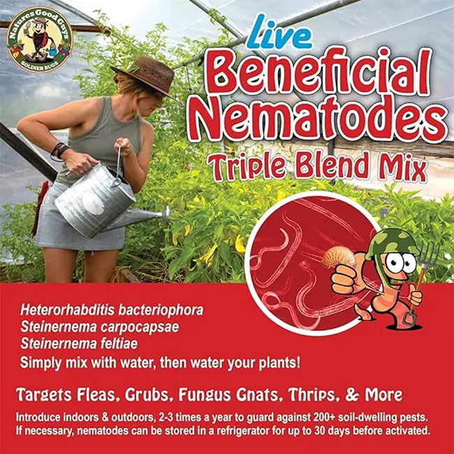 Beneficial Nematodes