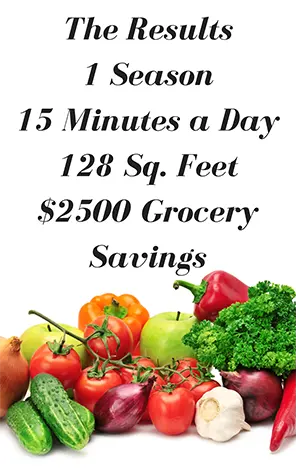 abundance-garden-results